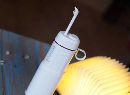 沖牙器選購指南 哪些品牌值得信賴？